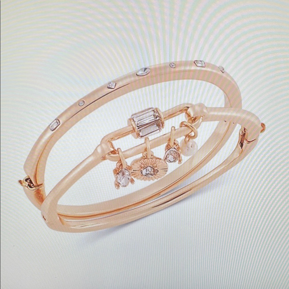 Charm Adorned Gold Tone 2 Piece Set Bangle Bracelet Set NWT